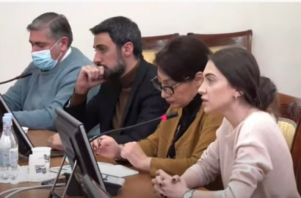 Армению сдают по частям, как об этом договорились турки и их рабы – Анна Мкртчян (видео)